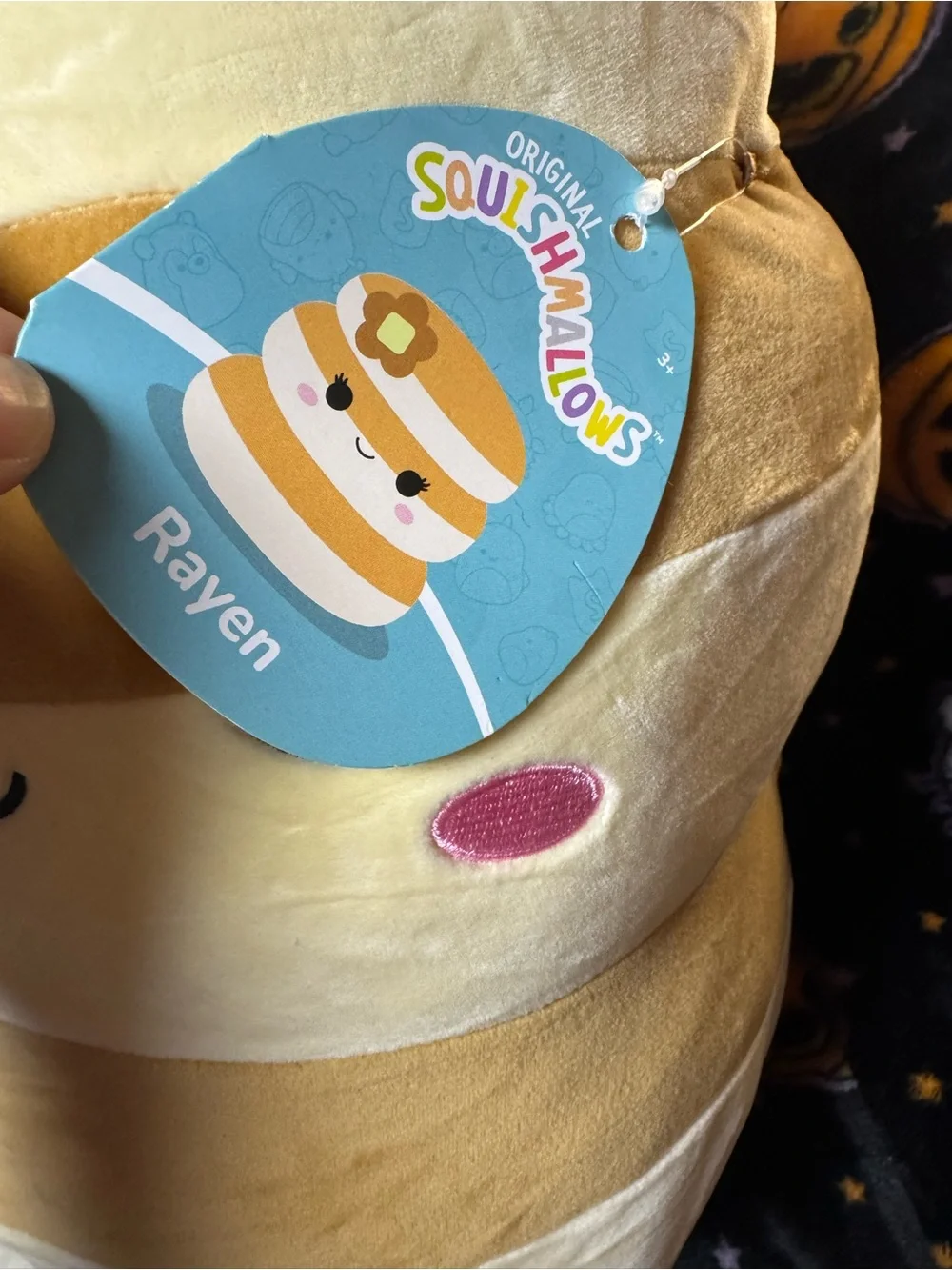 Squishmallows 14 rayen